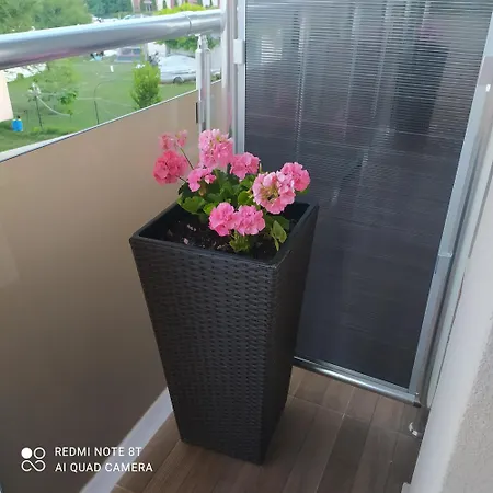 света марина Affittacamere *